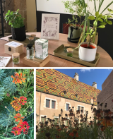 atelier le jardin "échos polychromes" de l'hôtel-dieu